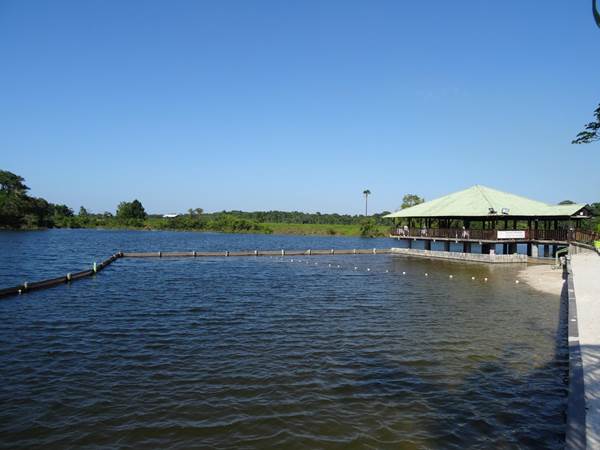 La Mangrove