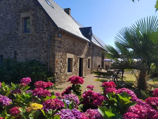 Jardin  au calme exposé sud-galerie