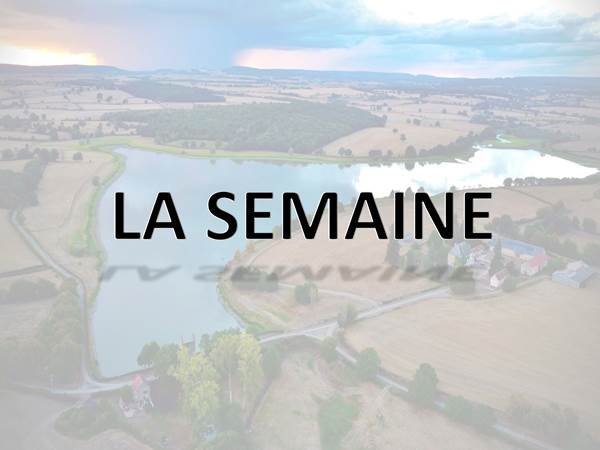 SE