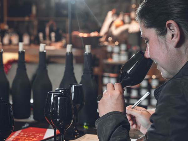 Une expérience immersive