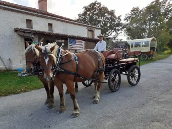 Pépé Gess Marathon Saloon