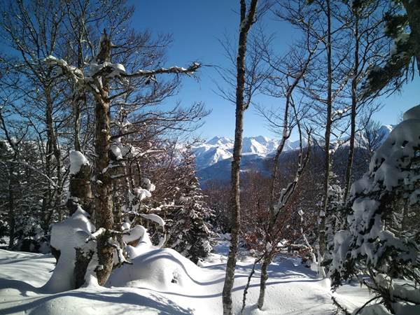 Randonnée guidée au col de Berbeillet