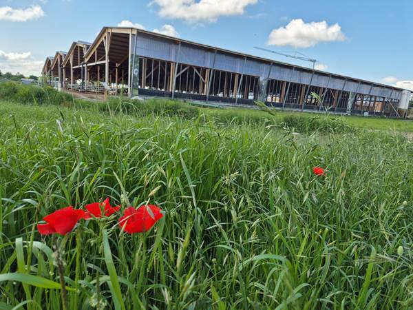 Ferme des Délices Foréziens à Saint Cyr les Vignes