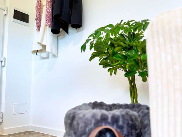 studio-le-lodge-entree-cosy-details-accueil.jpg
