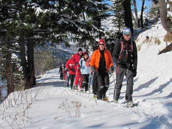 Traversée de la forêt de la soulane