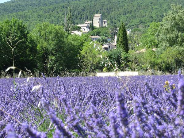 Le Poët Laval
