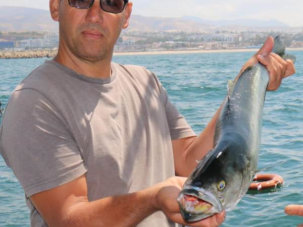 WhatsApp Image 2025-06-14 at 22.31.46