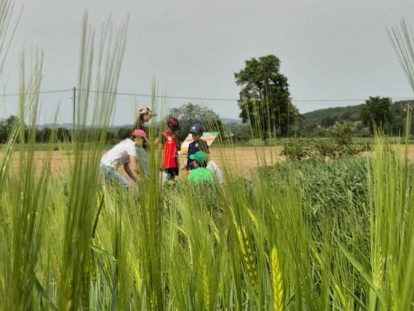 enquete à la ferme des delices st cyr les vignes