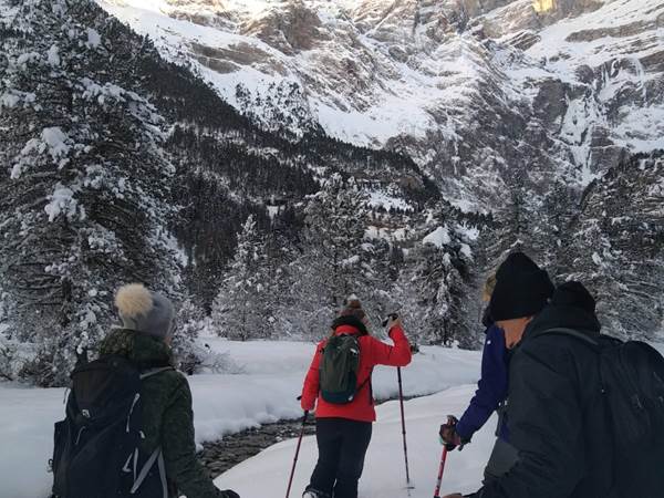 WhatsApp Image 2021-01-17 at 20.40.45