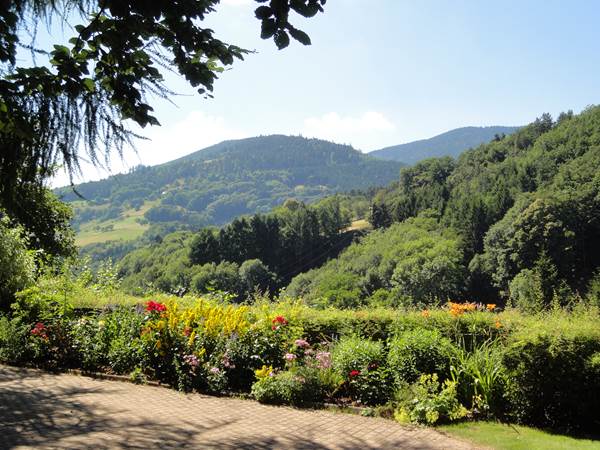 vue sur les Vosges