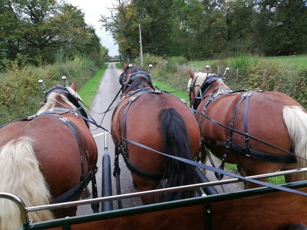 clos-de-l-isop_restaurant_roulotte-a-manger_caleches-de-l-isop_chevaux_vue_meneur-photo-gallery