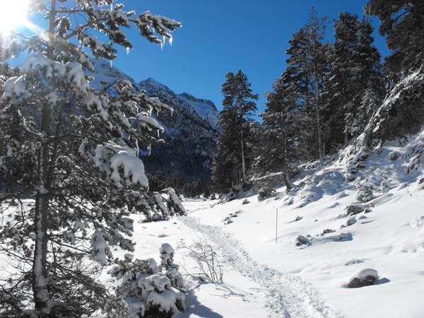 Randonnée raquettes depuis le Pont d'Espagne à Cauterets