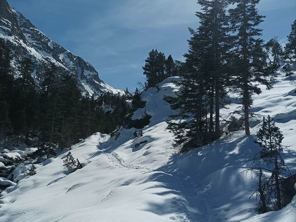 Randonnée raquettes lac d'Estom