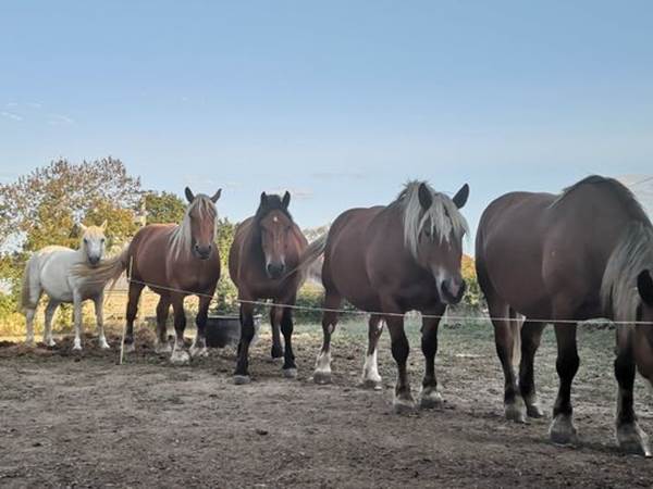 une partie de notre tite famille