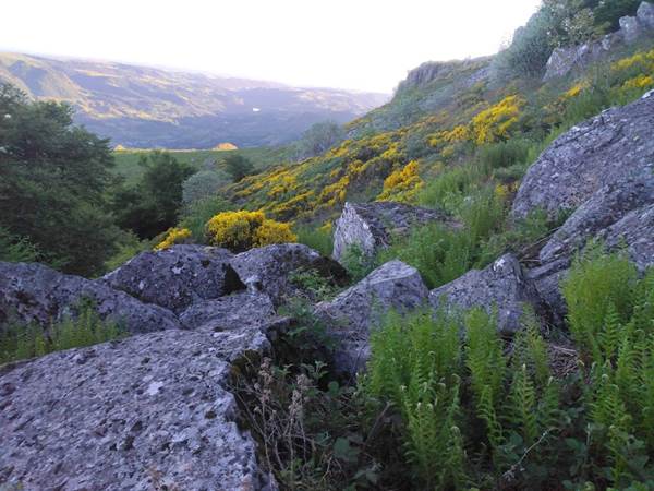 Paysage vu d'un sentier