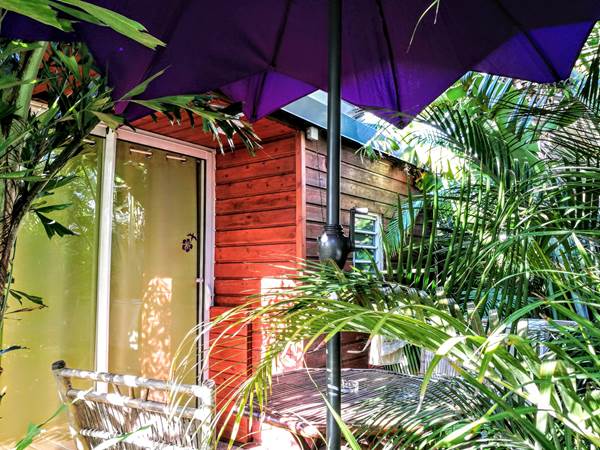 La terrasse, dans les plantes tropicales