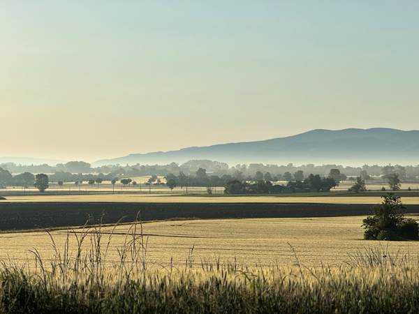 campagne-lauragaise-lever-soleil