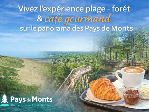 expe´rience_fatbike_plage fore^t_cafe´ gourmand
