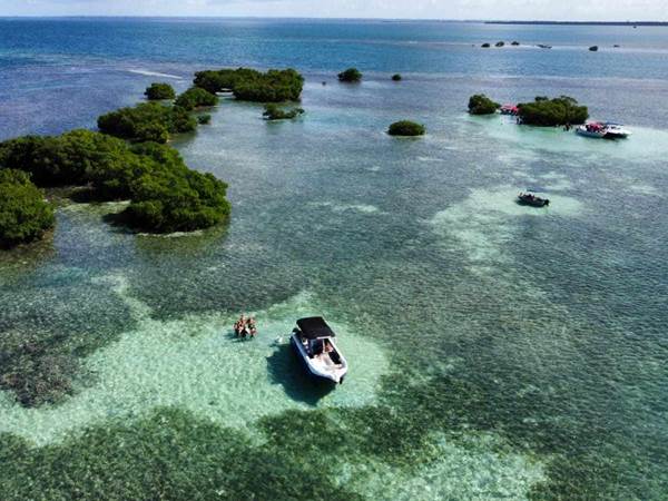 #decouverteiles #sortieenmer #locationbateau #tourismenautique #croisierejournee #bateauprive #activitecouple #voyage #experienceunique #loisirs #tourisme #week-end #plagesparadisiaques #tropical #ilecaraibes #snorkeling #excursionbateauguadeloupe #excursionbateaupascher #excursionbateauavis #excursionbateaureservation #meilleurexcursionbateauguadeloupe #excursionbateau2025 #guadeloupe #repas #aperitif #plongee #plage #masque #tuba-photo-gallery