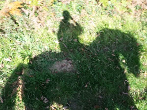 20141101_121426