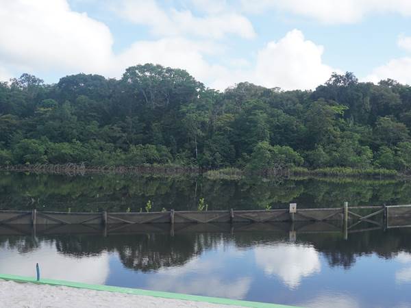 La Mangrove