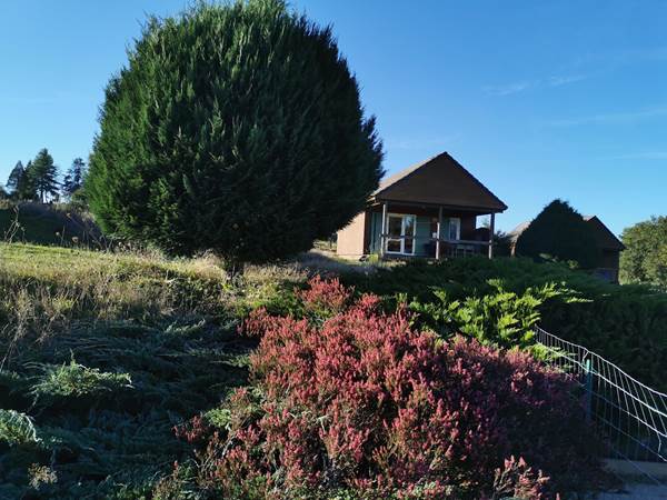 Le chalet Betula