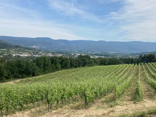 Vue sur la campagne