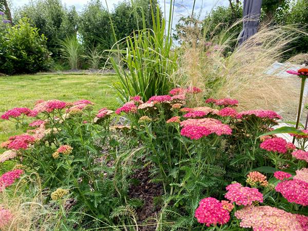Au jardin