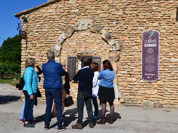 Visite d'un Domaine Oléicole-presta