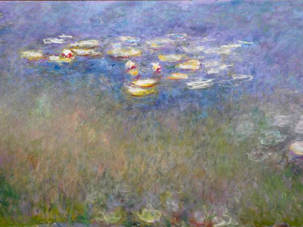 water-lilies-agapanthus