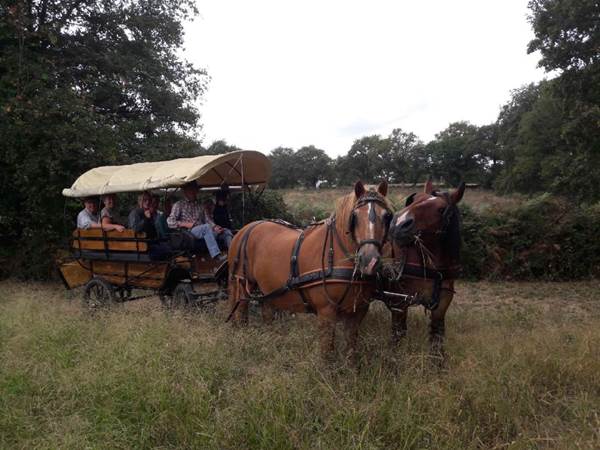 #SlowTourisme #TourismeVert #Patrimoine #ExpérienceAuthentique #Nature #Famille #Évasion #NouvelleAquitaine #VienneTourisme #LimousinTourisme