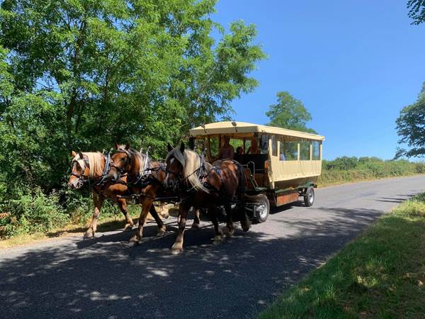 clos-de-l-isop_roulotte-a-manger_restaurant_insolite_haute-vienne_limousin_chevaux