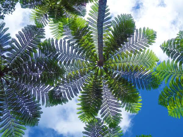 Oliver Boschet Chauffeur VTC privé