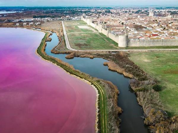 Paysages-Découverte de la Camargue - Copie (2)