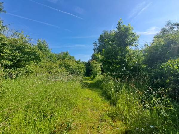 Parcours créatif et de bien-être