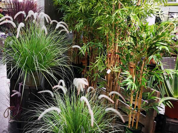 Ménage fin de séjour