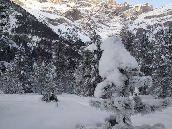 WhatsApp Image 2021-01-17 at 20.40.44