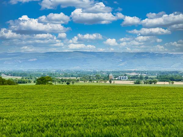studio-le-lodge-vue-montagne-noire-campagne-lauragaise.jpg