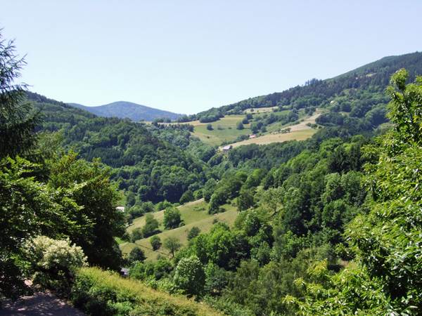 vue sur le massif des Vosges