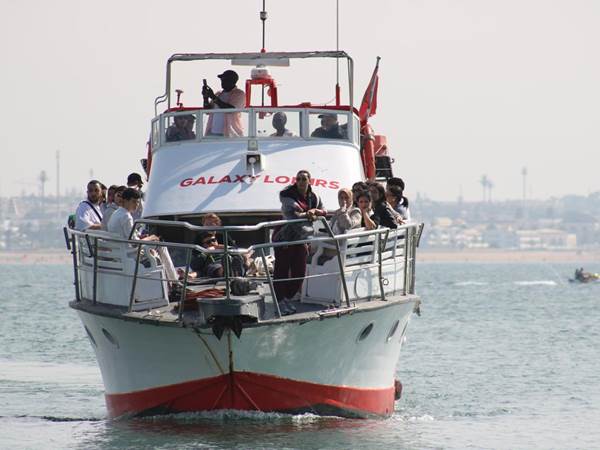 WhatsApp Image 2025-06-14 at 22.35.47