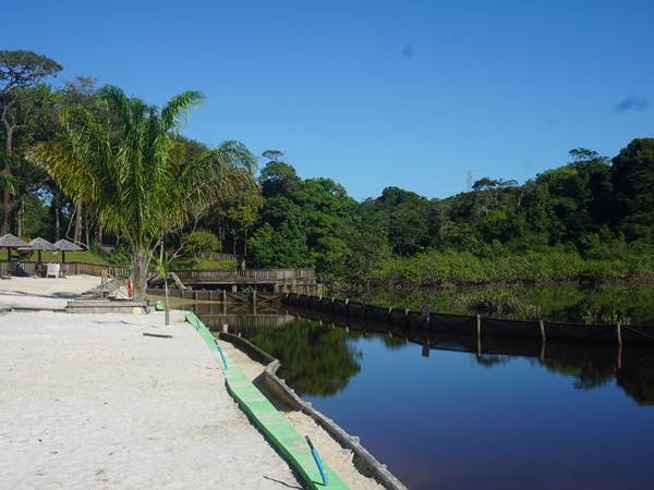 La Mangrove