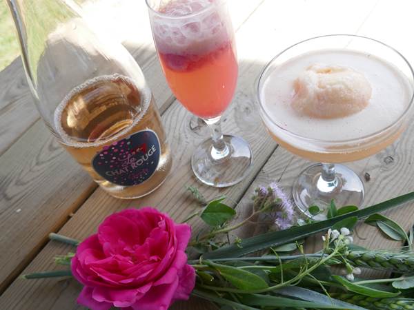 cocktail glacé agamy délices foreziens