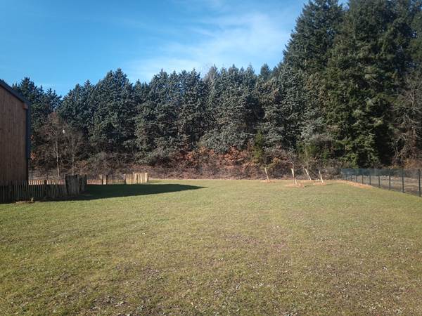 Jardin à l'arrière de la propriété de 2000 m2
