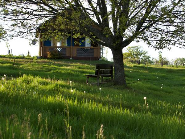 Le chalet Tilia à la campagne et dans la nature