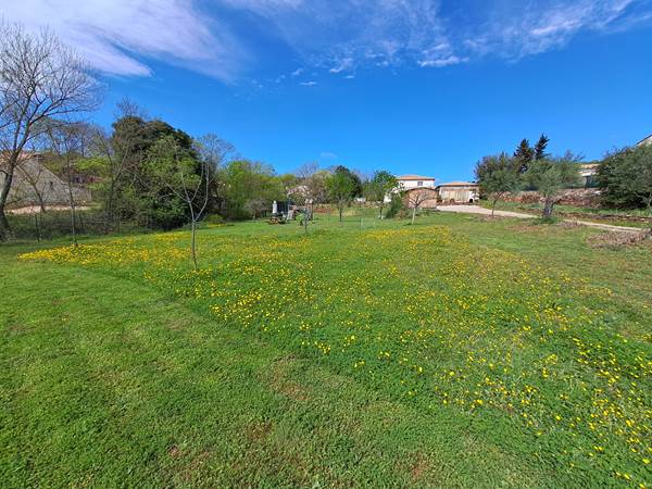 Le rossignol des murailles-Jardin