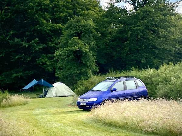 Le Ranch Camping - Wild meadow pitch