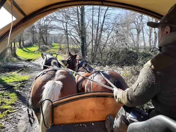 #BaladeEnCalècheVienne #CalècheVienne86 #PromenadeEnCalècheLimousin #CalèchePoitiers #CalècheMontmorillon #CalècheChauvigny #BaladeChevalVienne #CalècheLimoges #CalècheHauteVienne #PromenadeAttelageLimousin