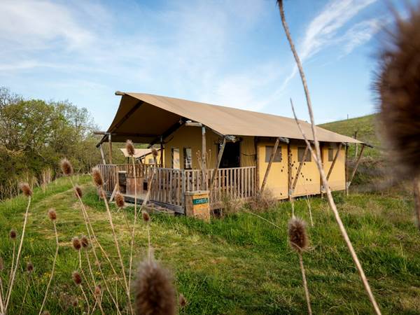 Vue d'ensemble éco-lodge sunshine