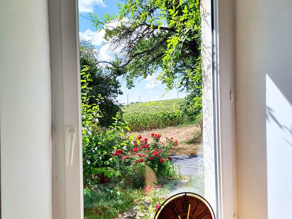 lumiere-naturelle-vue-campagne-location-lauragaise.jpg