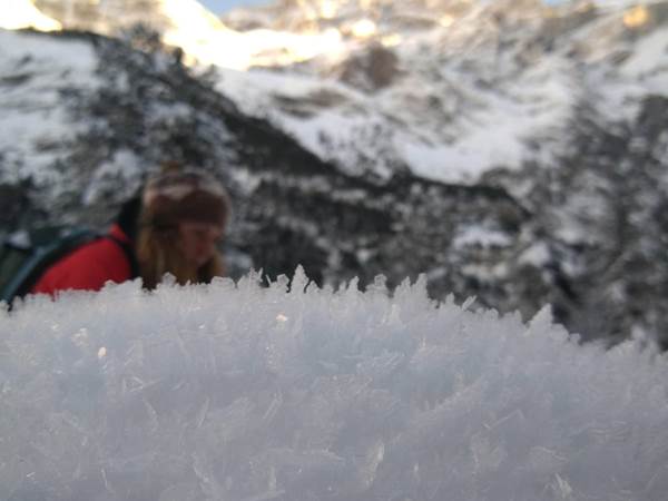 WhatsApp Image 2021-01-17 at 20.40.45 (1)